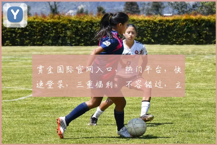 赏金国际官网入口,热门平台,快速登录,三重福利,不容错过,立即体验