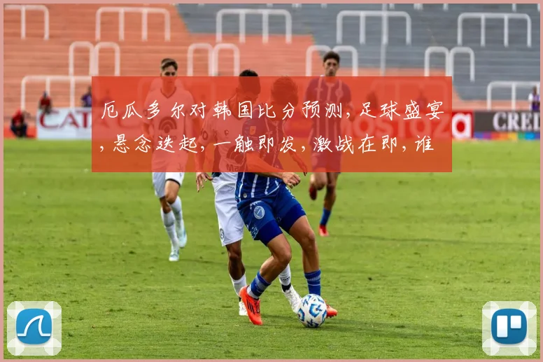 厄瓜多尔对韩国比分预测,足球盛宴,悬念迭起,一触即发,激战在即,谁将问鼎