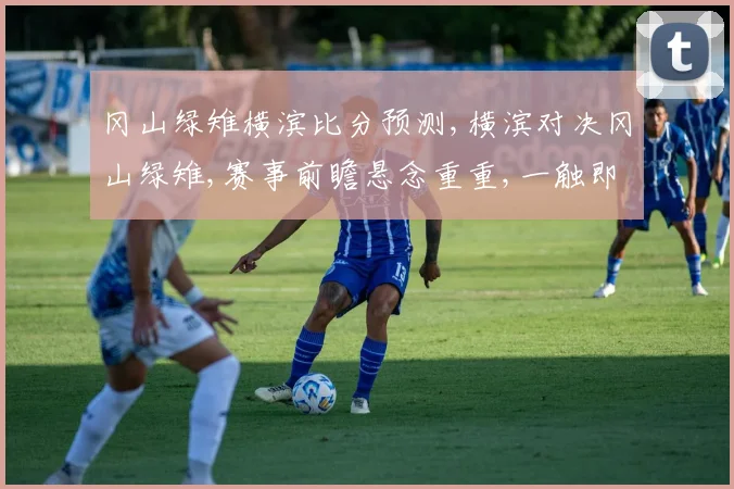 冈山绿雉横滨比分预测,横滨对决冈山绿雉,赛事前瞻悬念重重,一触即发